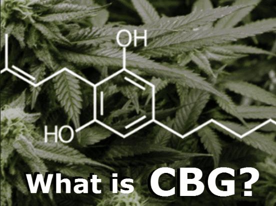 What is CBG