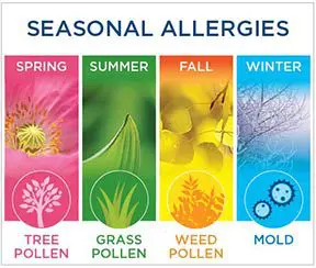 Allergies