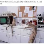 area 51 memes 1024x980