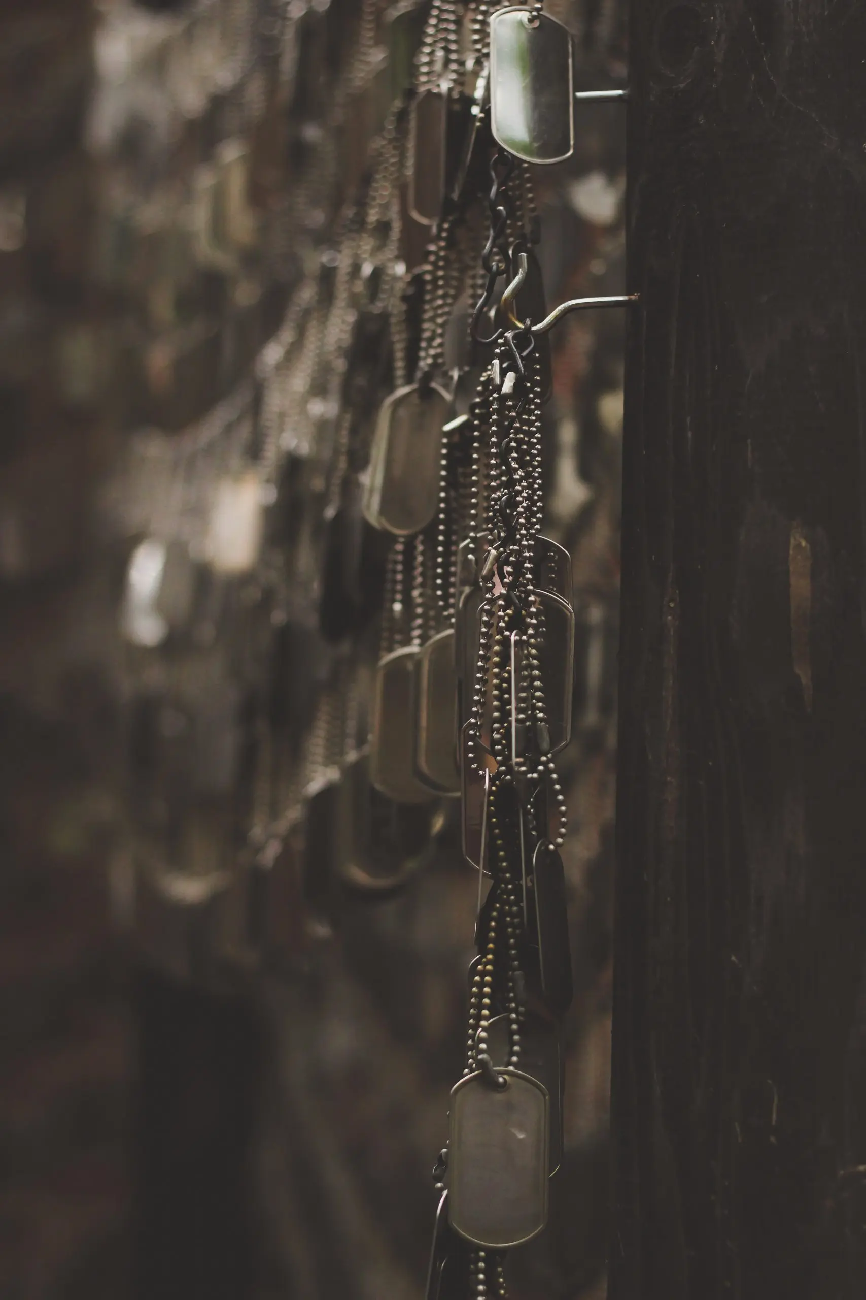 holly mindrup j7RQSDAhpYI unsplash 1 scaled