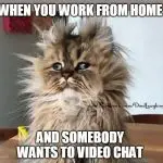 zoom meetings