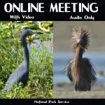 zoome meeting2