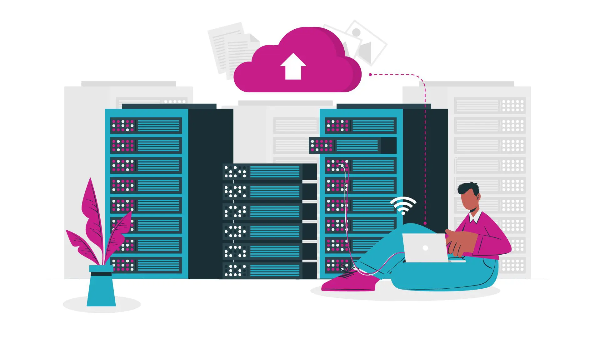 web hosting 100
