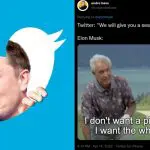 1650946931 elon musk buys twitter memes