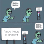 person brains brains brains brains amber heard is innocent