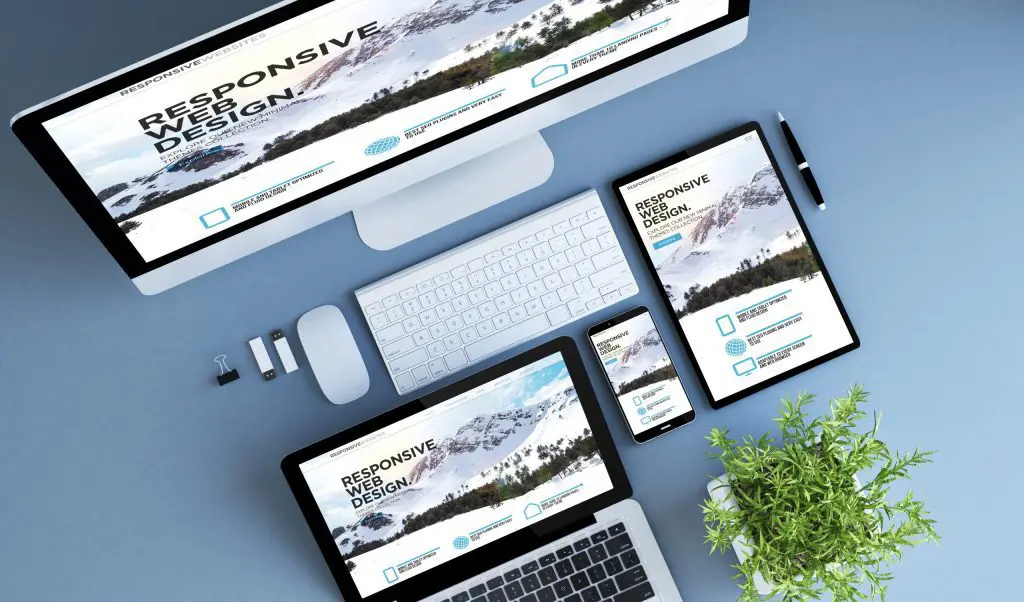 AdobeStock 207254889 scaled