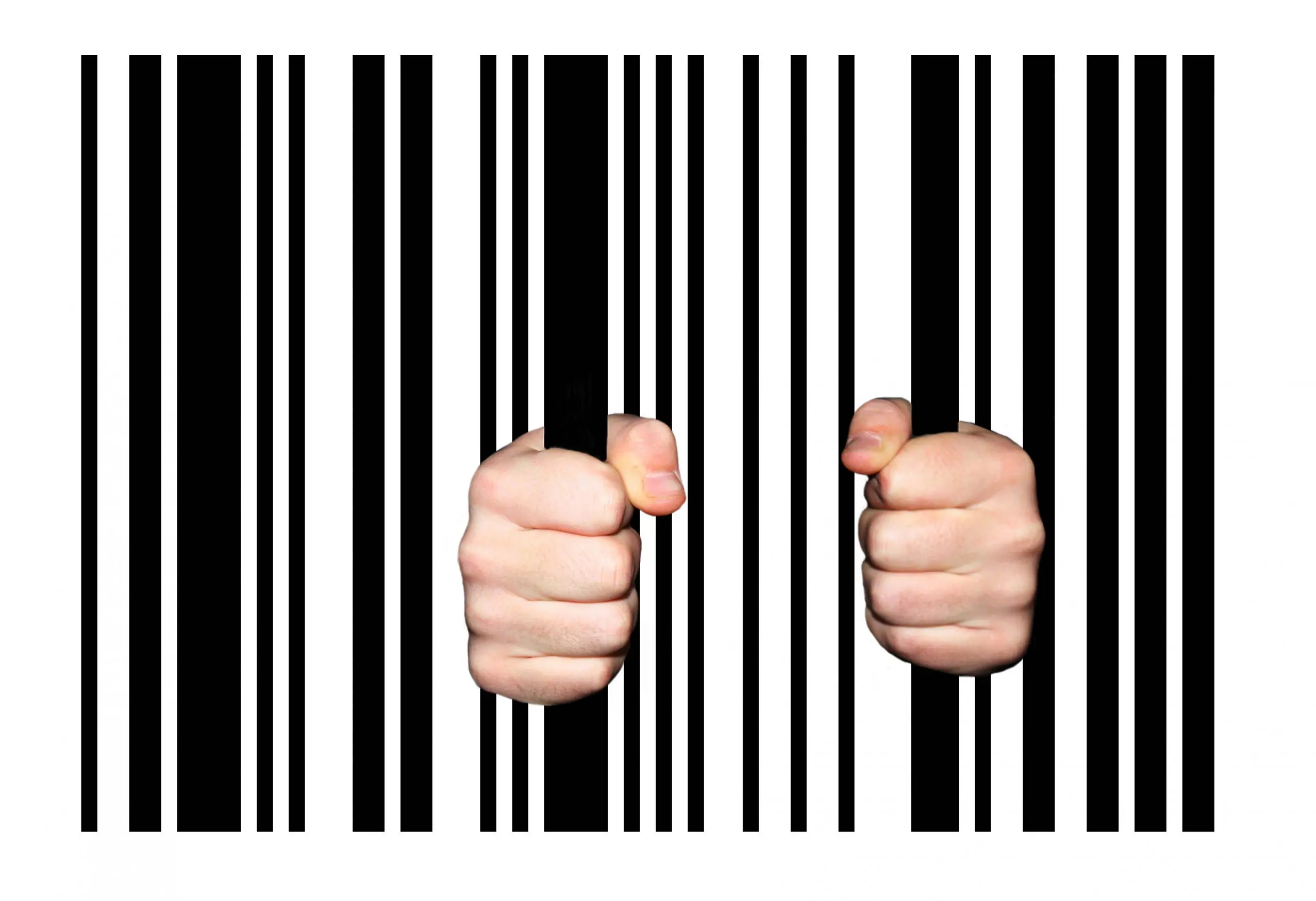 prison bars scaled