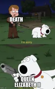 49vwyz