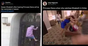 meme 1 1662732337093