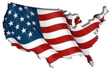 Government article flag