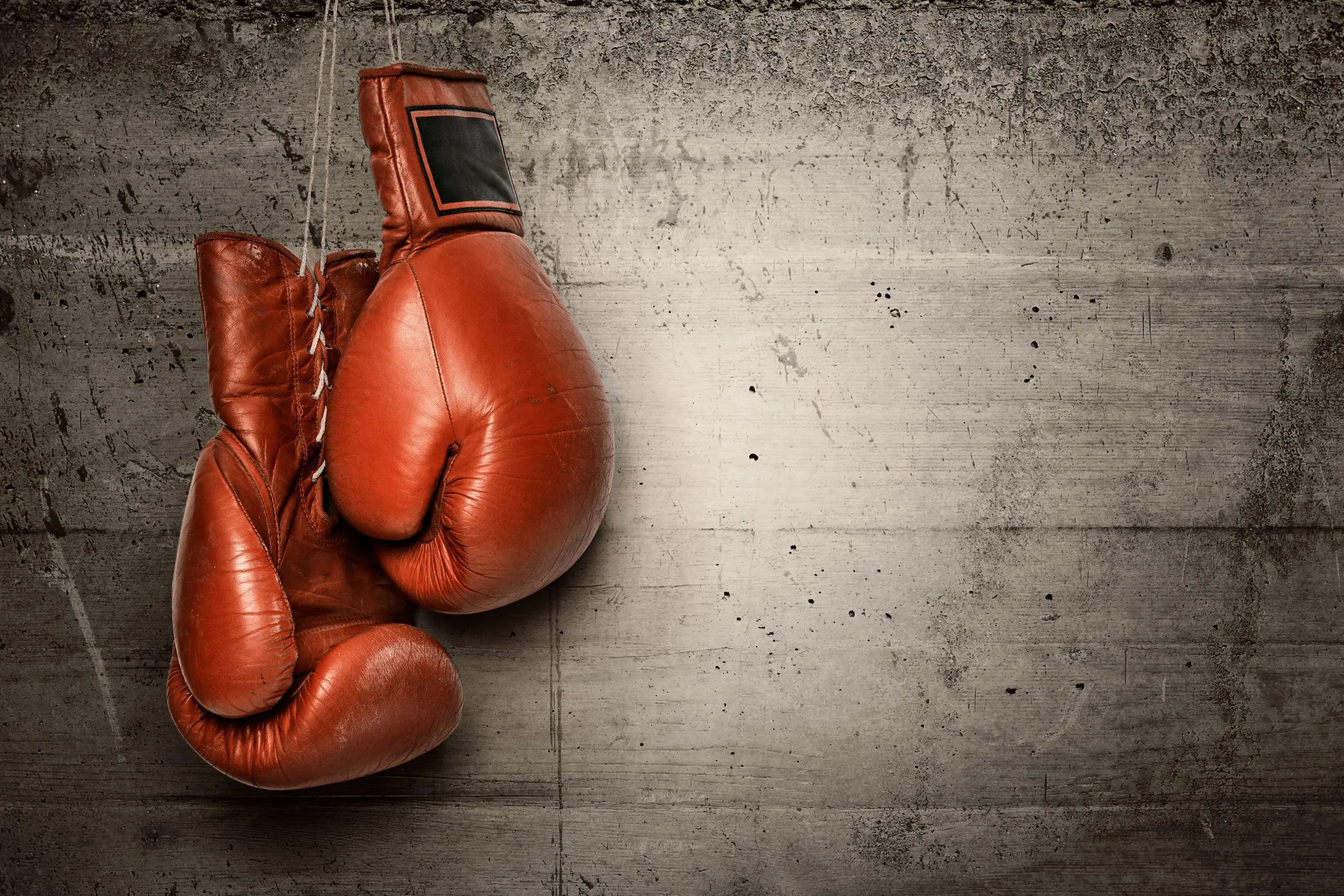 Pro Boxing News 