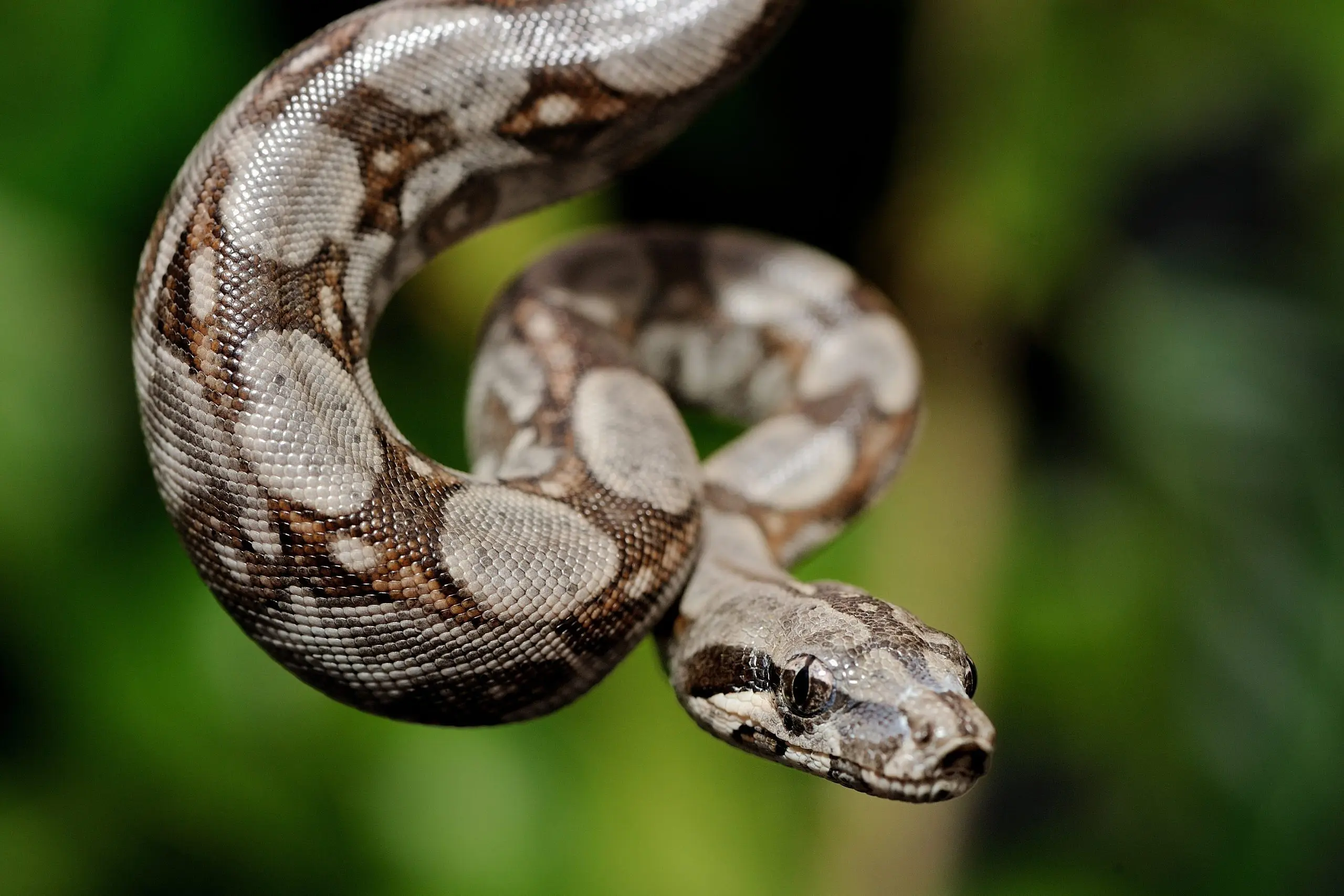 AdobeStock 463234252 scaled