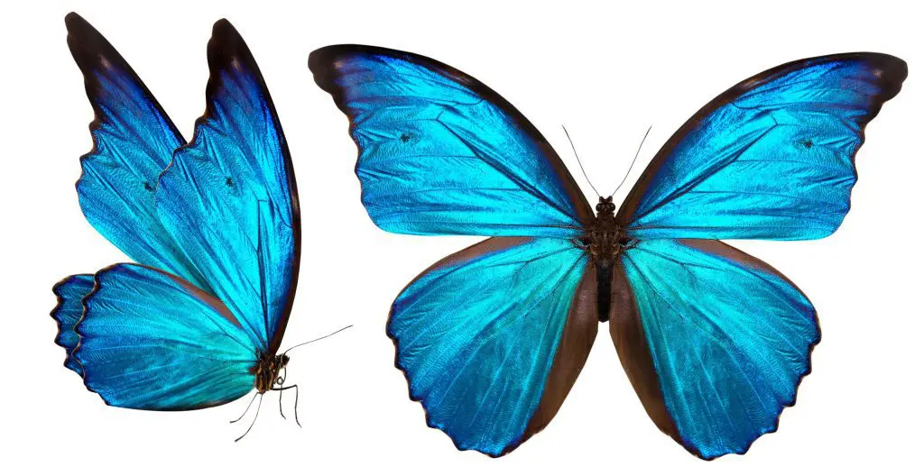 AdobeStock 59118848 scaled