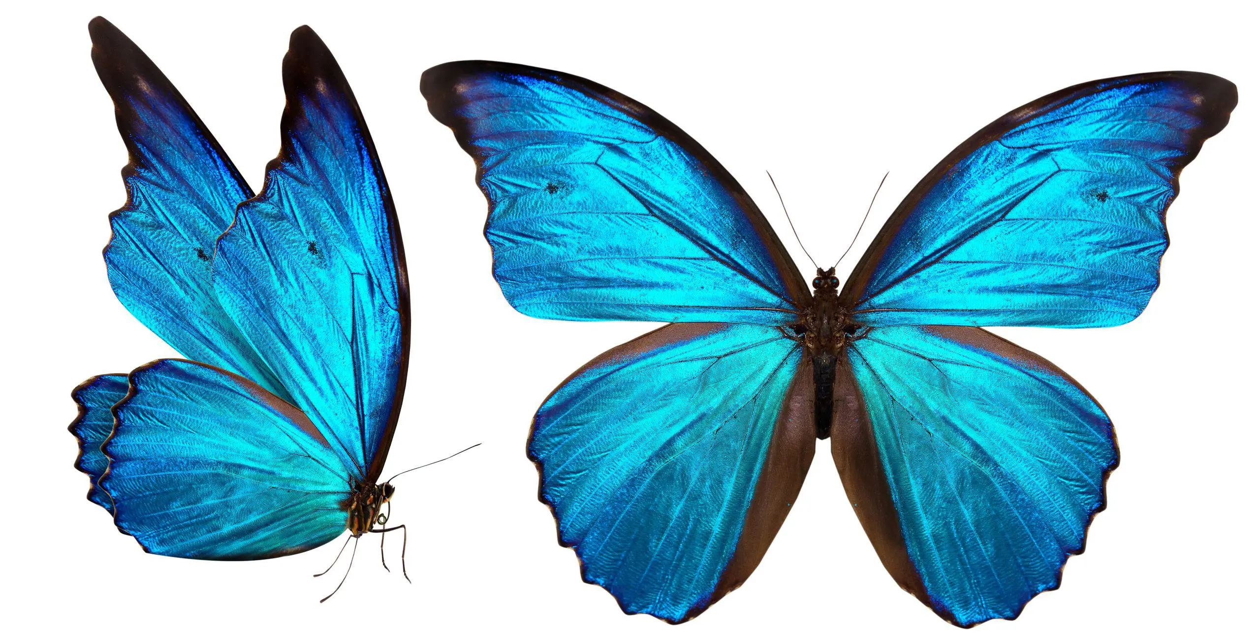 AdobeStock 59118848 scaled