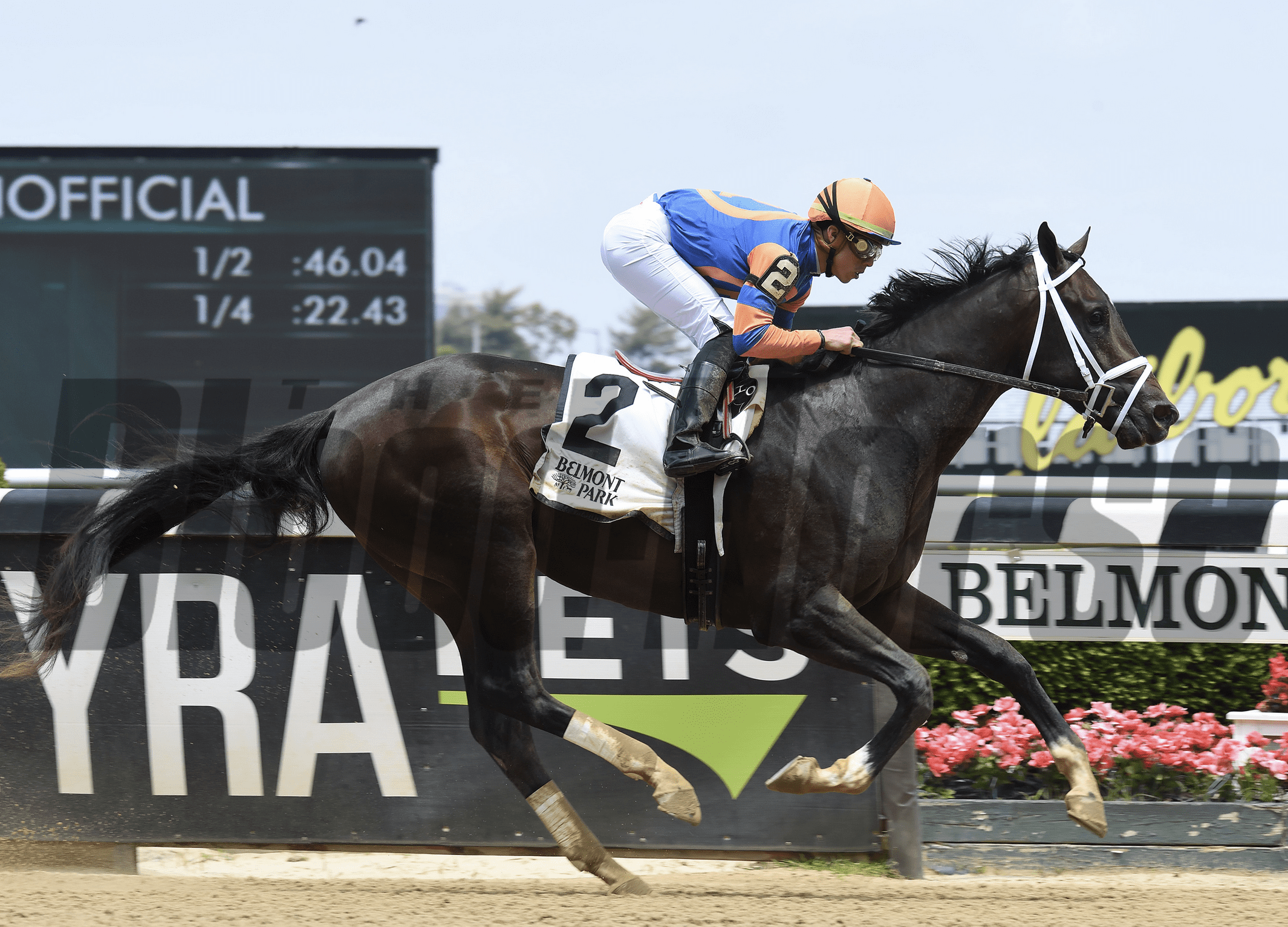 Saratoga Horse Race