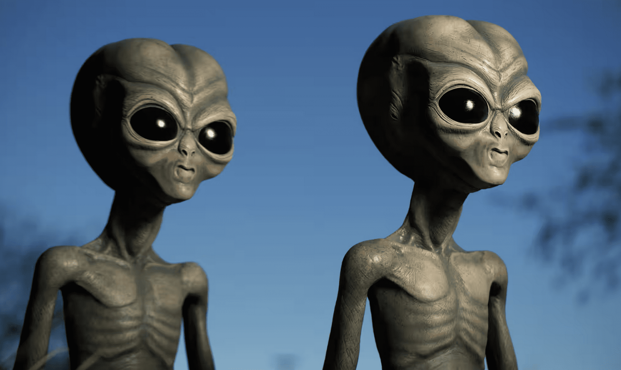 Alien