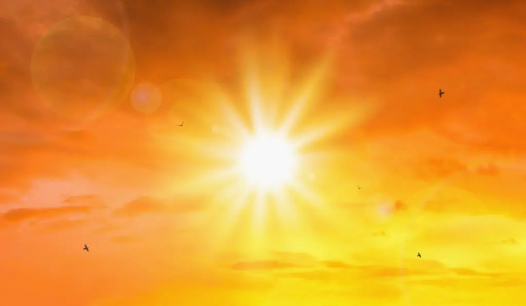 Labor Day Reflections: Remembering the UPS Driver That Died from Heat: A Growing Concern Over Workers' Safety