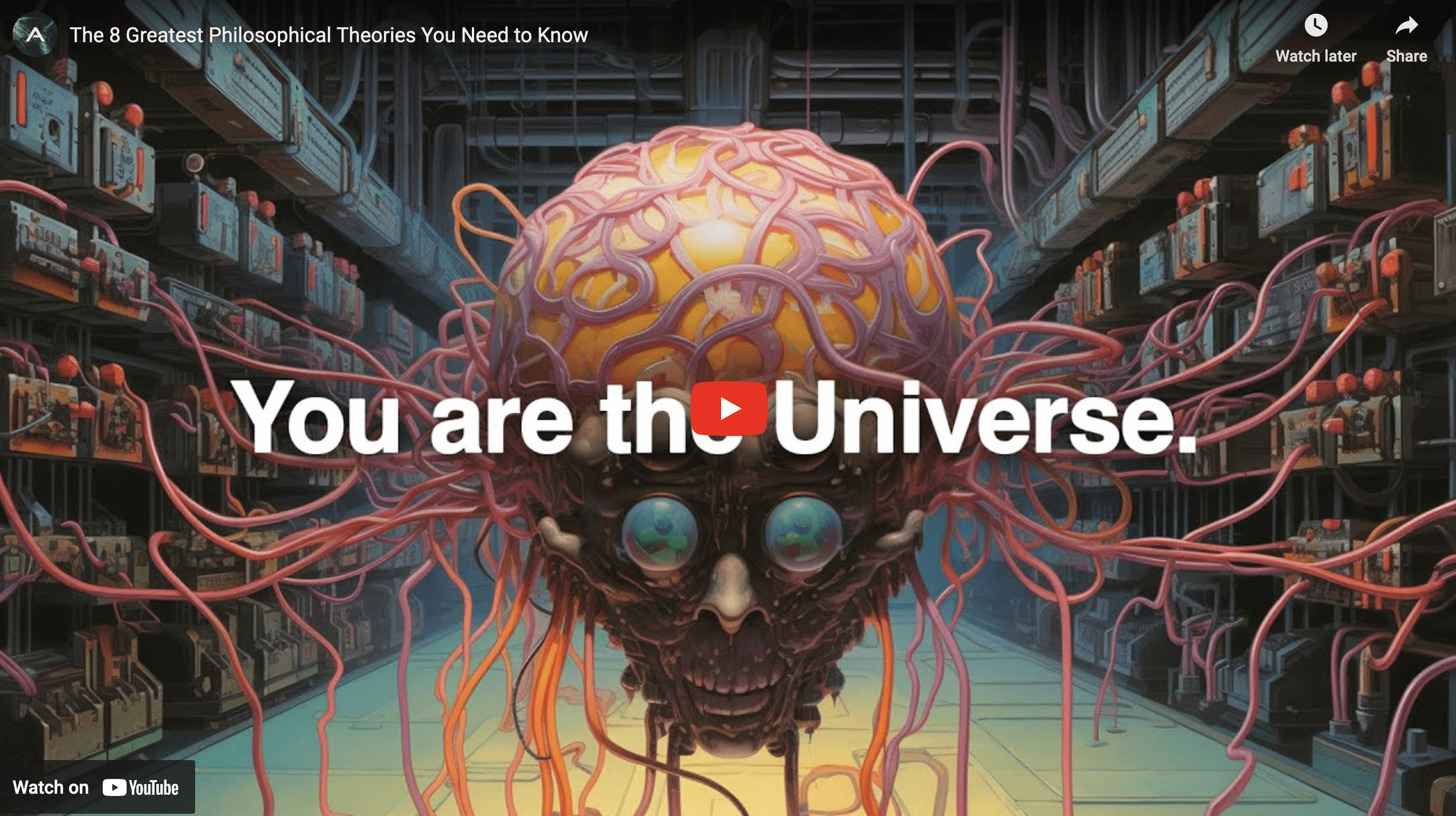 You Are The Universe