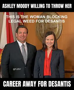 Ashley Moody And DeSantis Memes