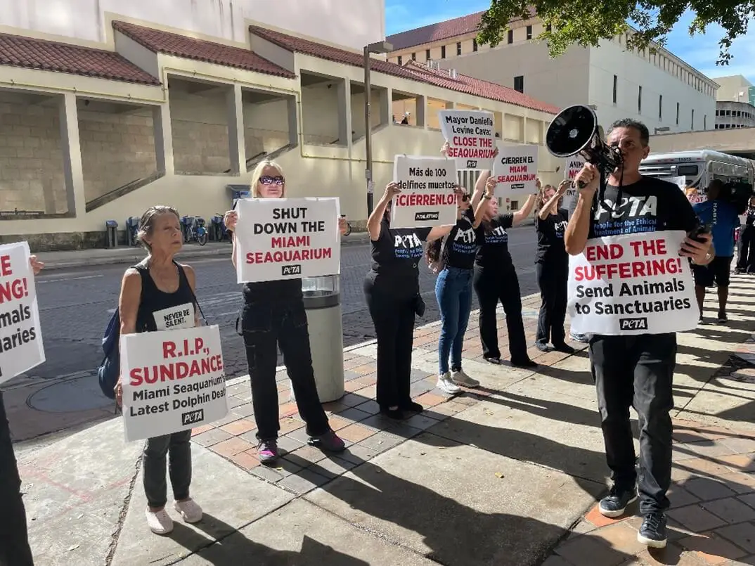 MSQ.MayorProtest