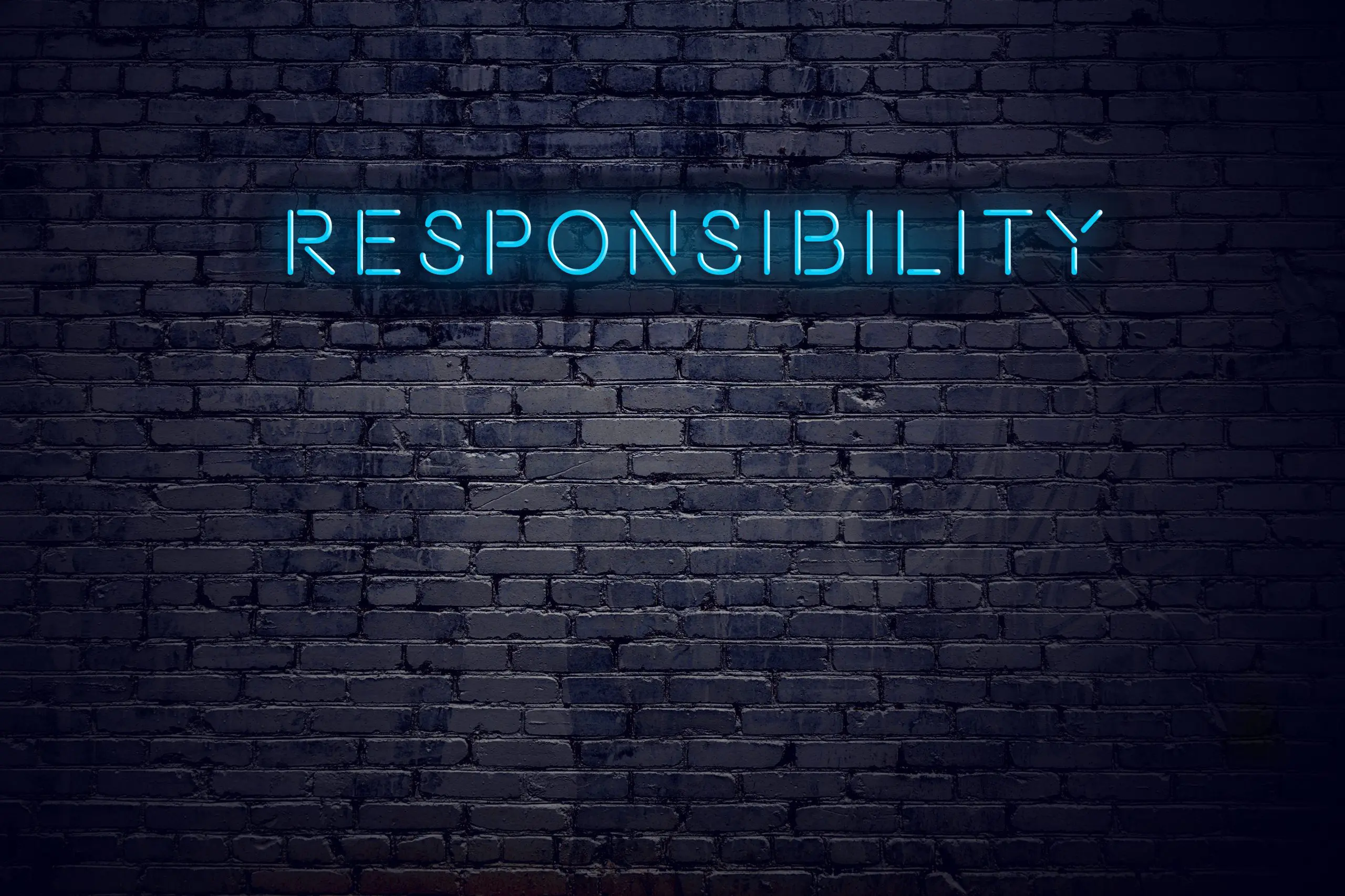 responsibility responsibility
