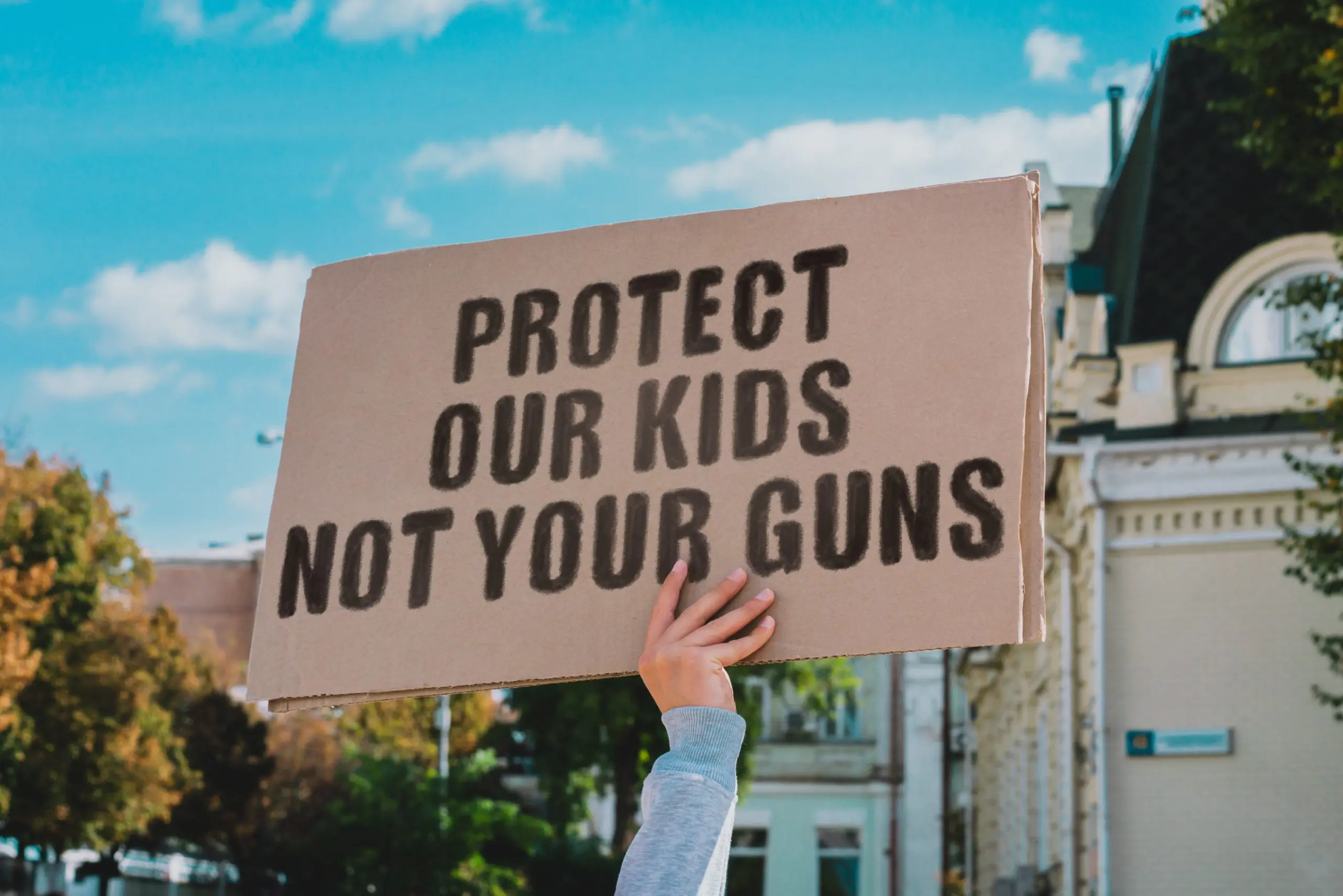 Gun reform