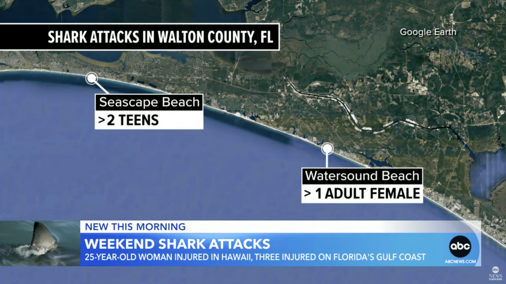 Gulf Coast Shark Attacks