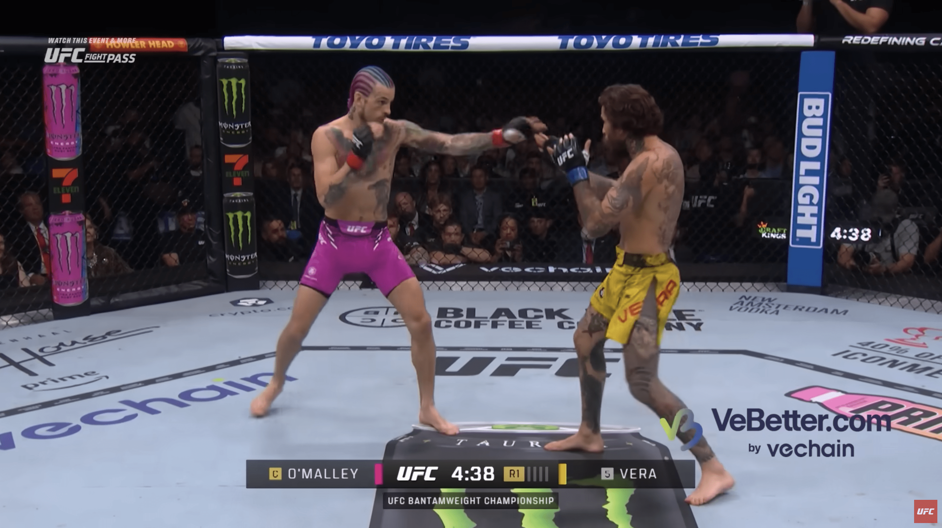 Sean O'Malley vs Marlon Vera 2