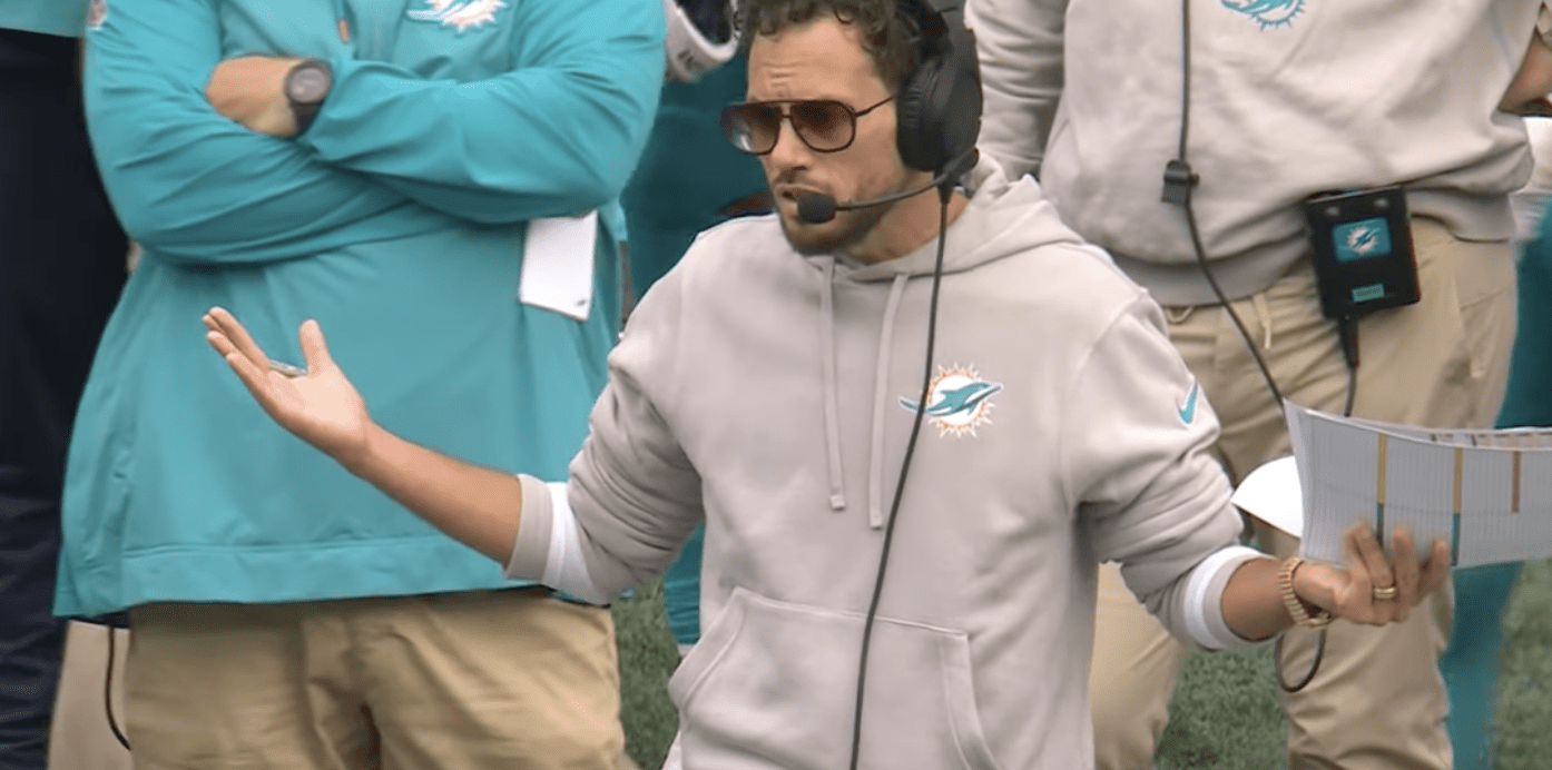 Dolphins