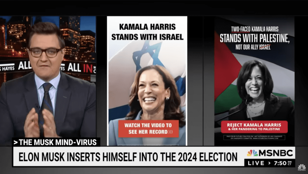 Elon Musk Micro targeting political ads