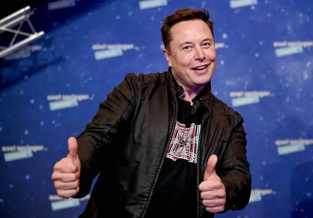 Elon Musk Idiot