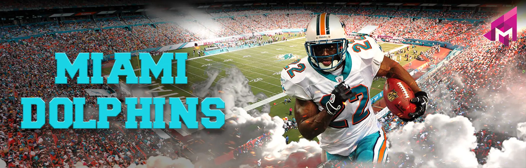 Miami Dolphins
