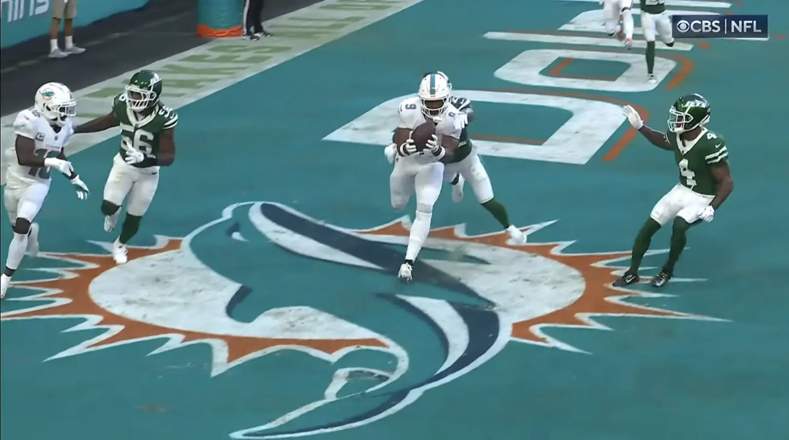 Dolphins Football
