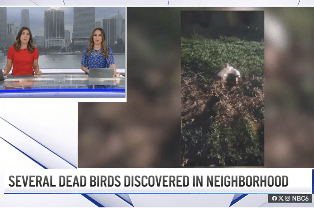 Cooper City Geese Killers