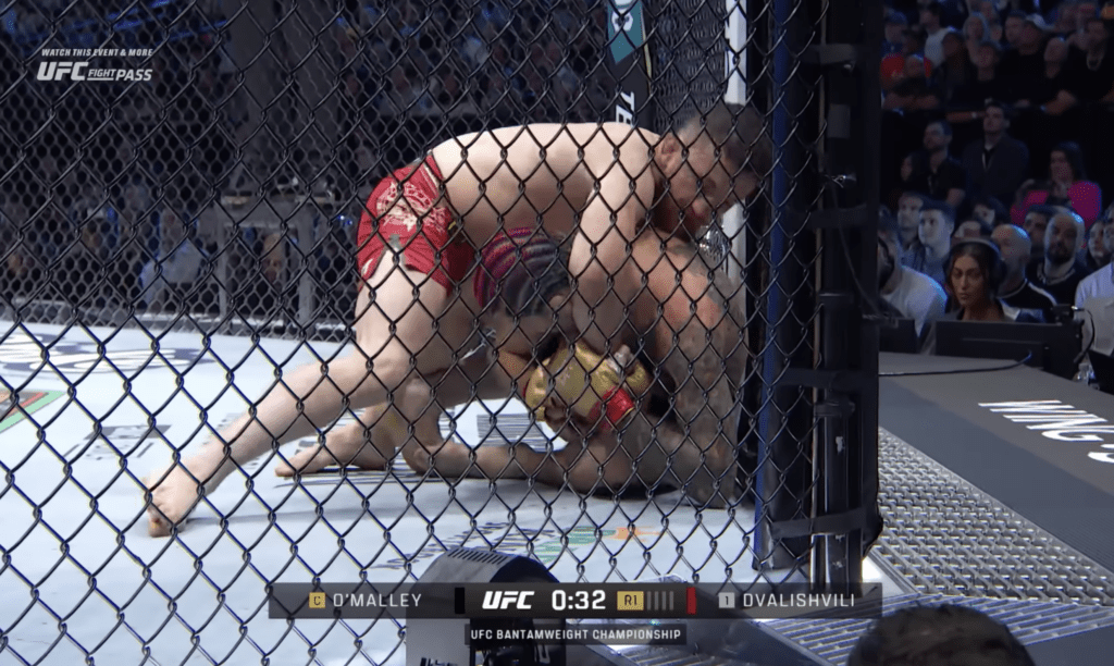 Merab Dvalishvili vs Sean O'Malley