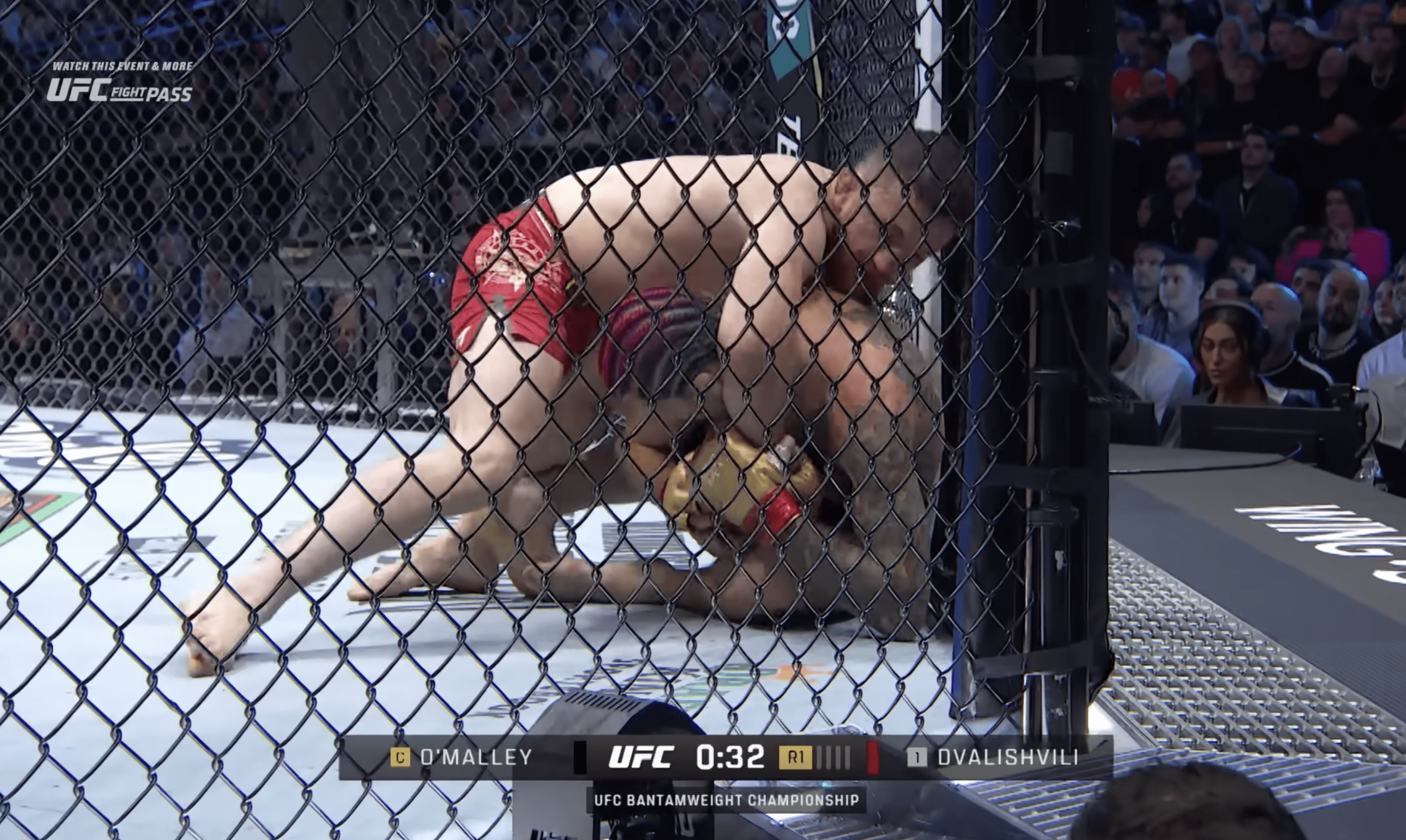 Merab Dvalishvili vs Sean O'Malley