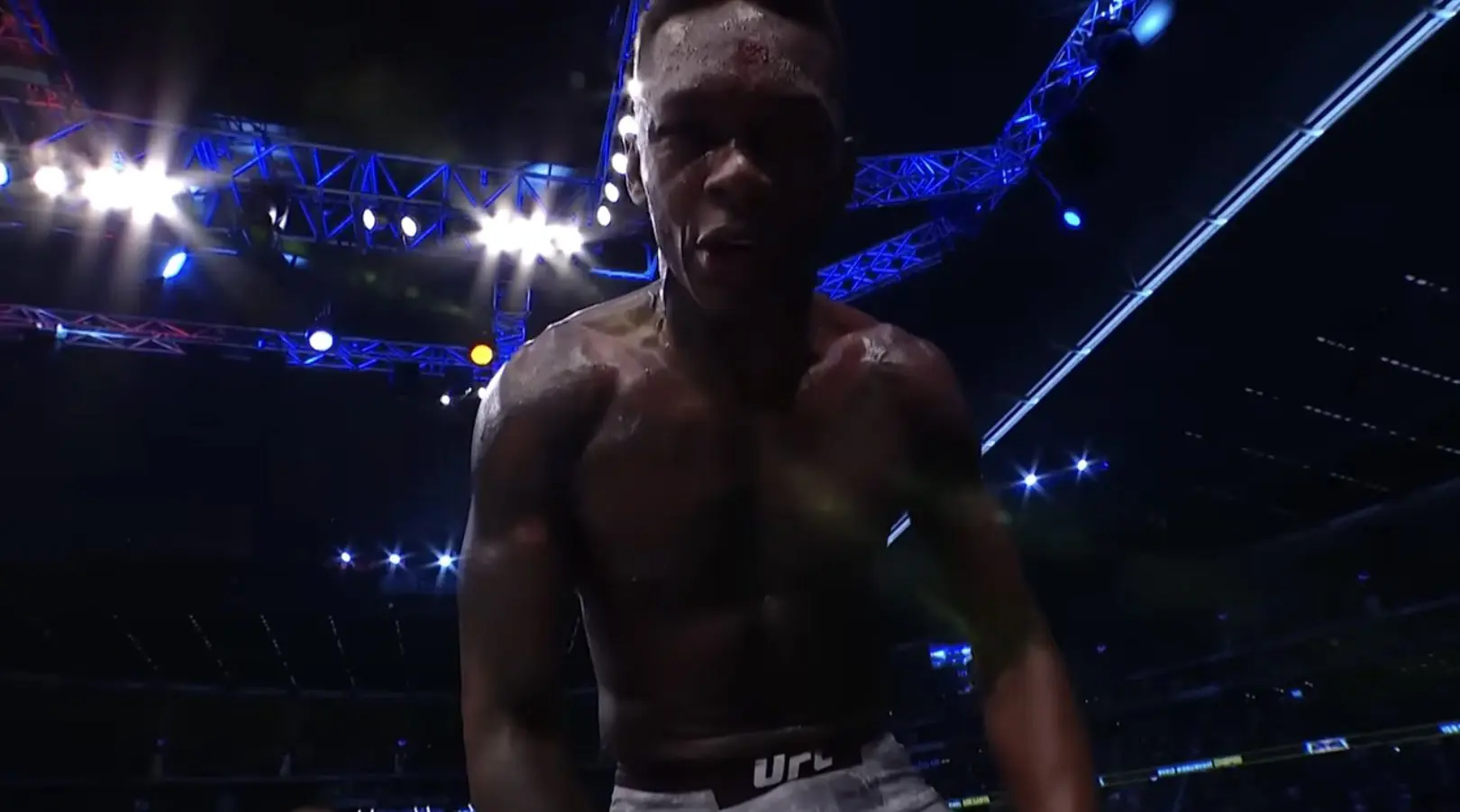 UFC Fight