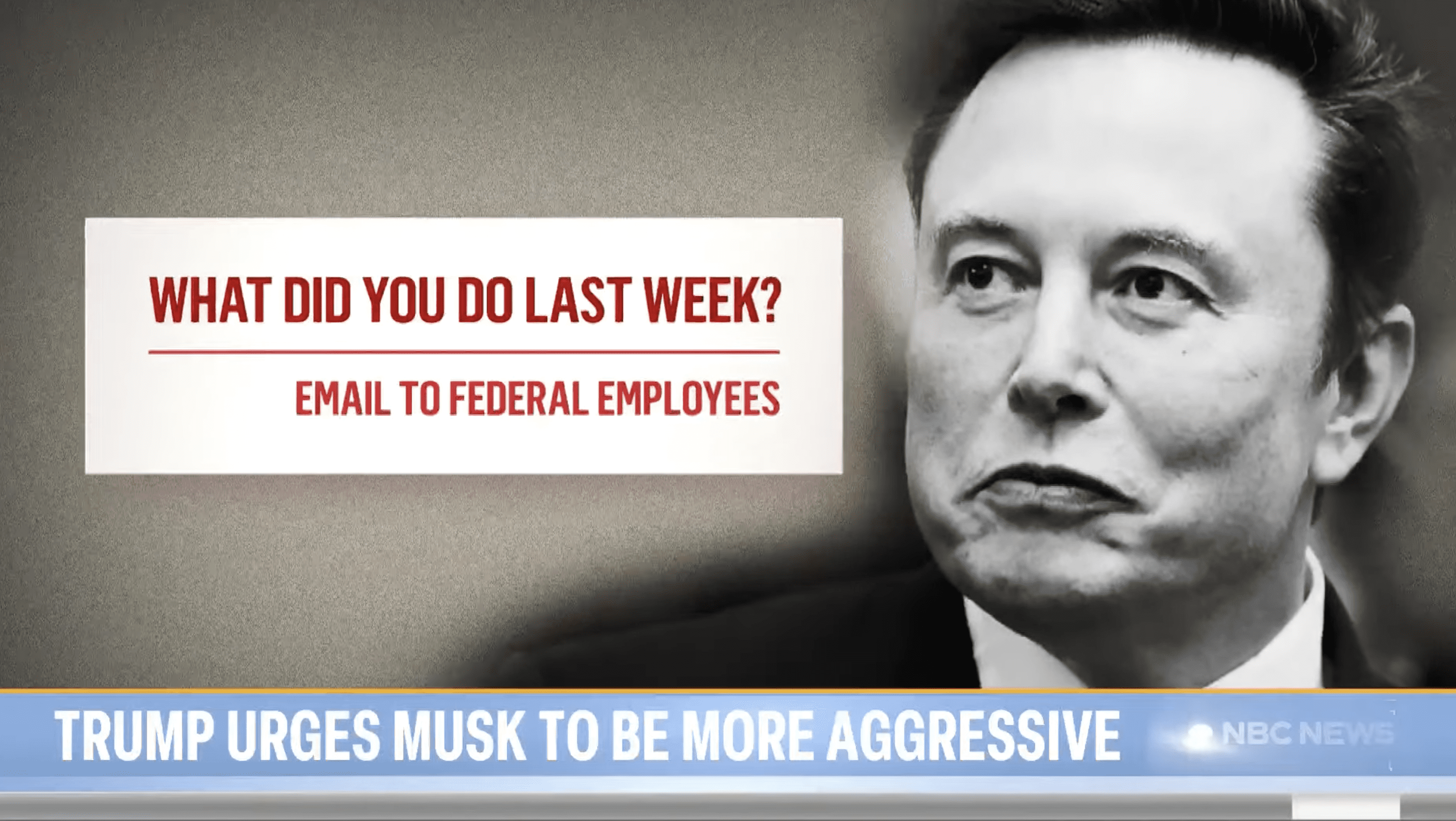 Elon Musk all federal employees must email