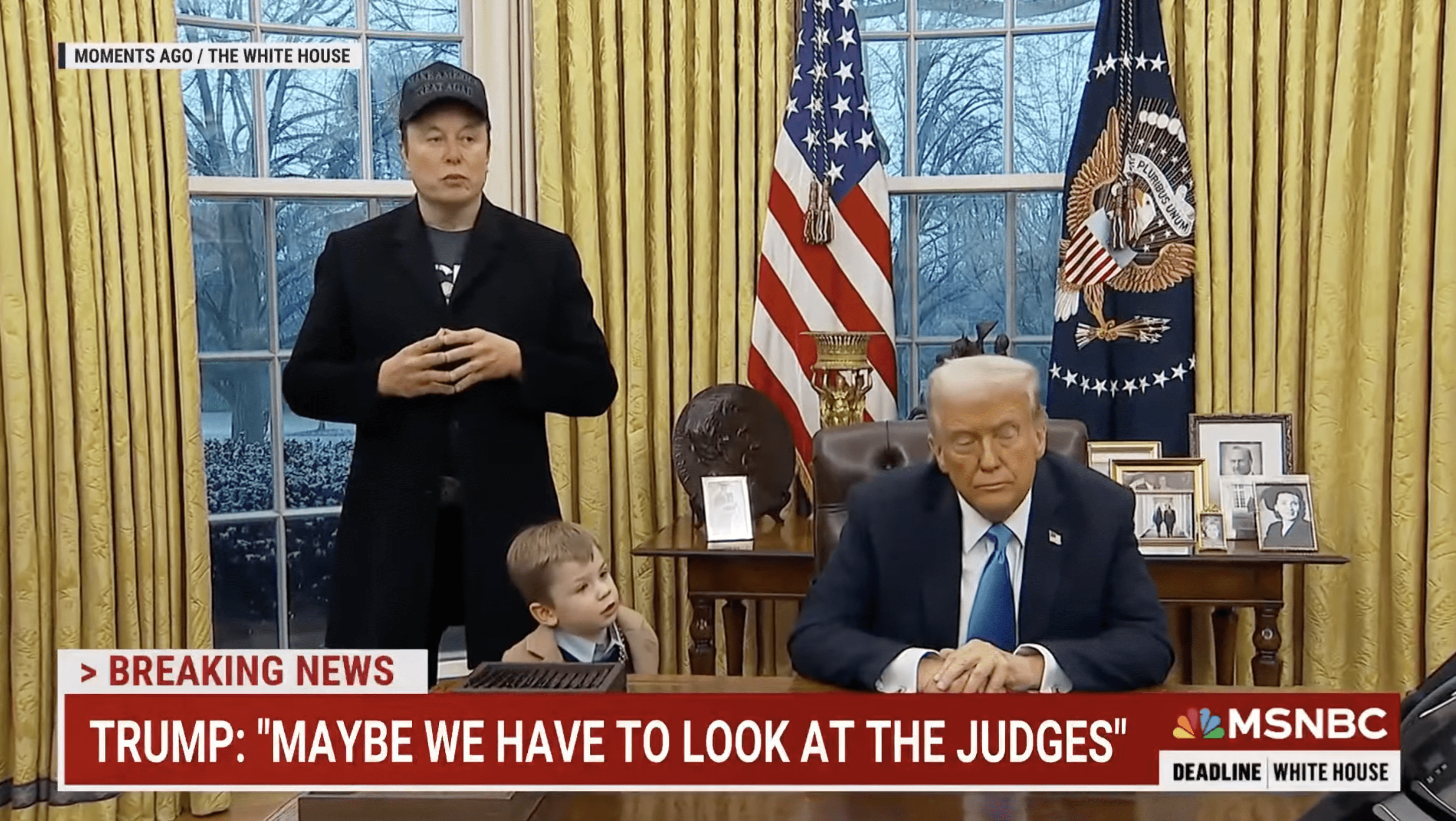 Elon Musk Oval Office Take Over
