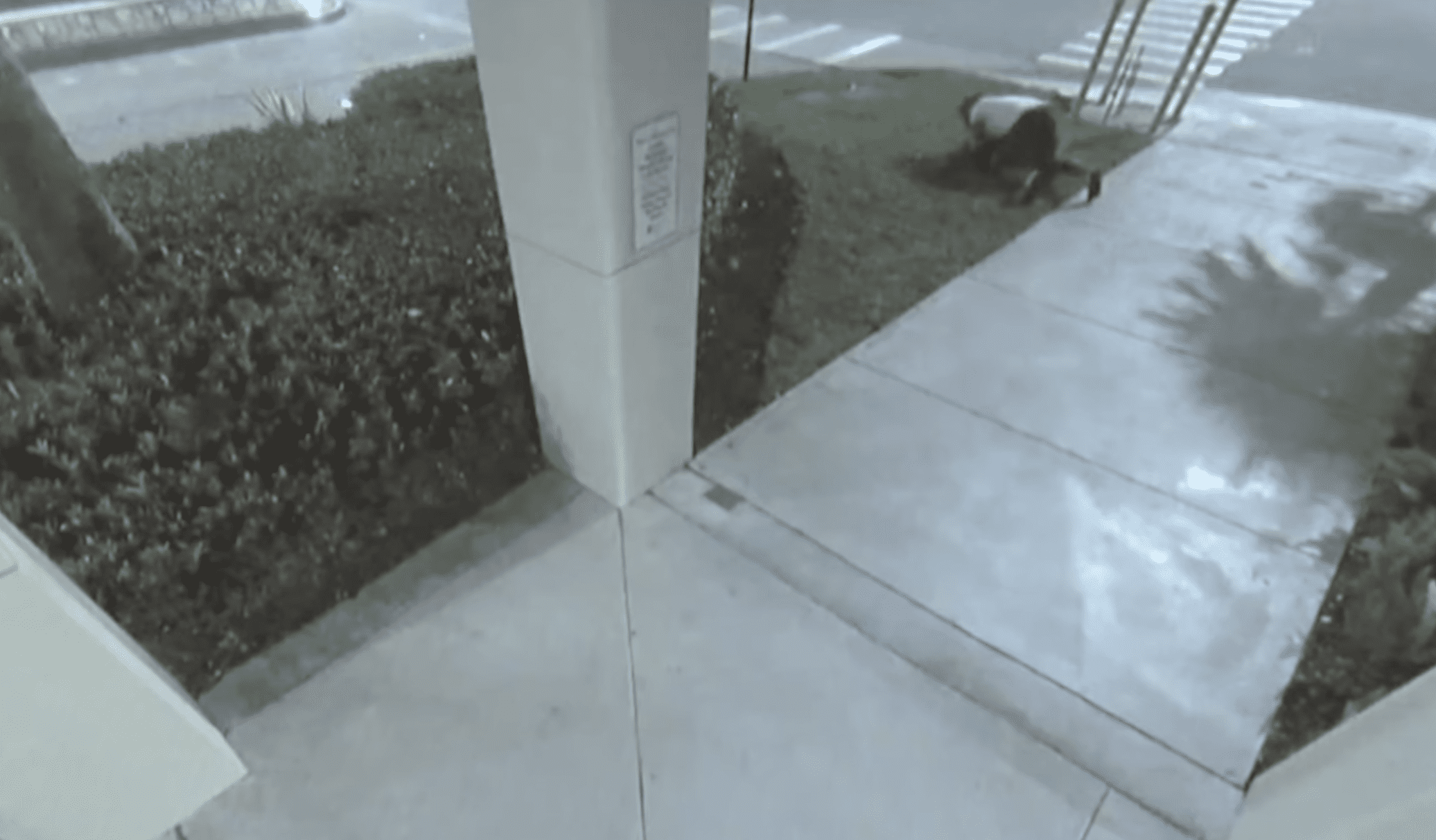attempted kidnapping in Miami