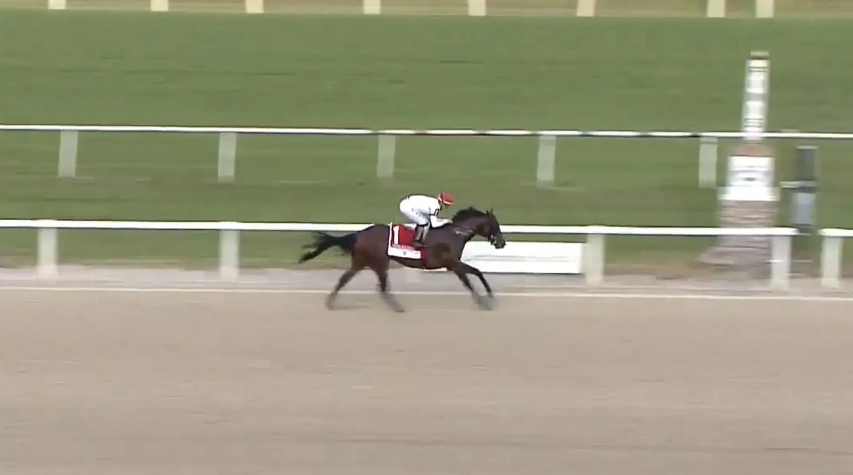 Horse Racing