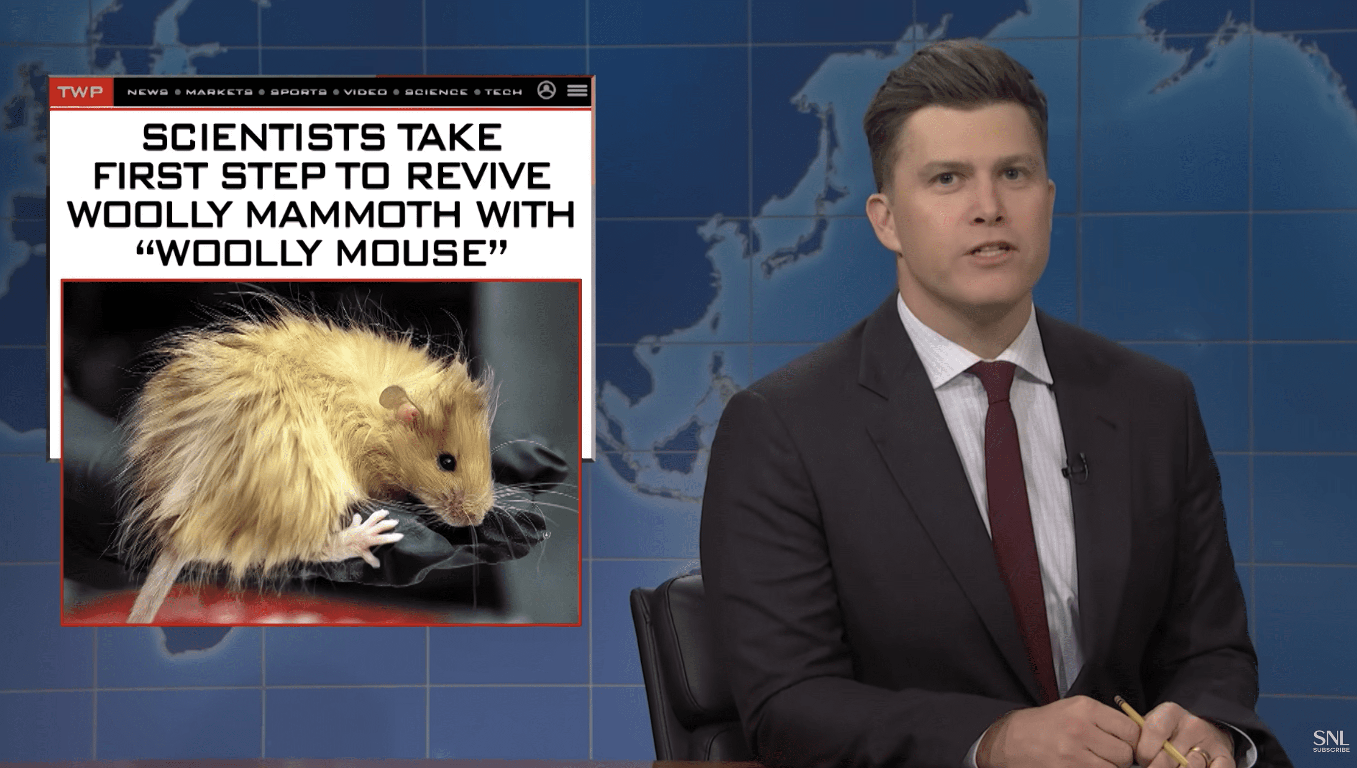 Woolly Mouse