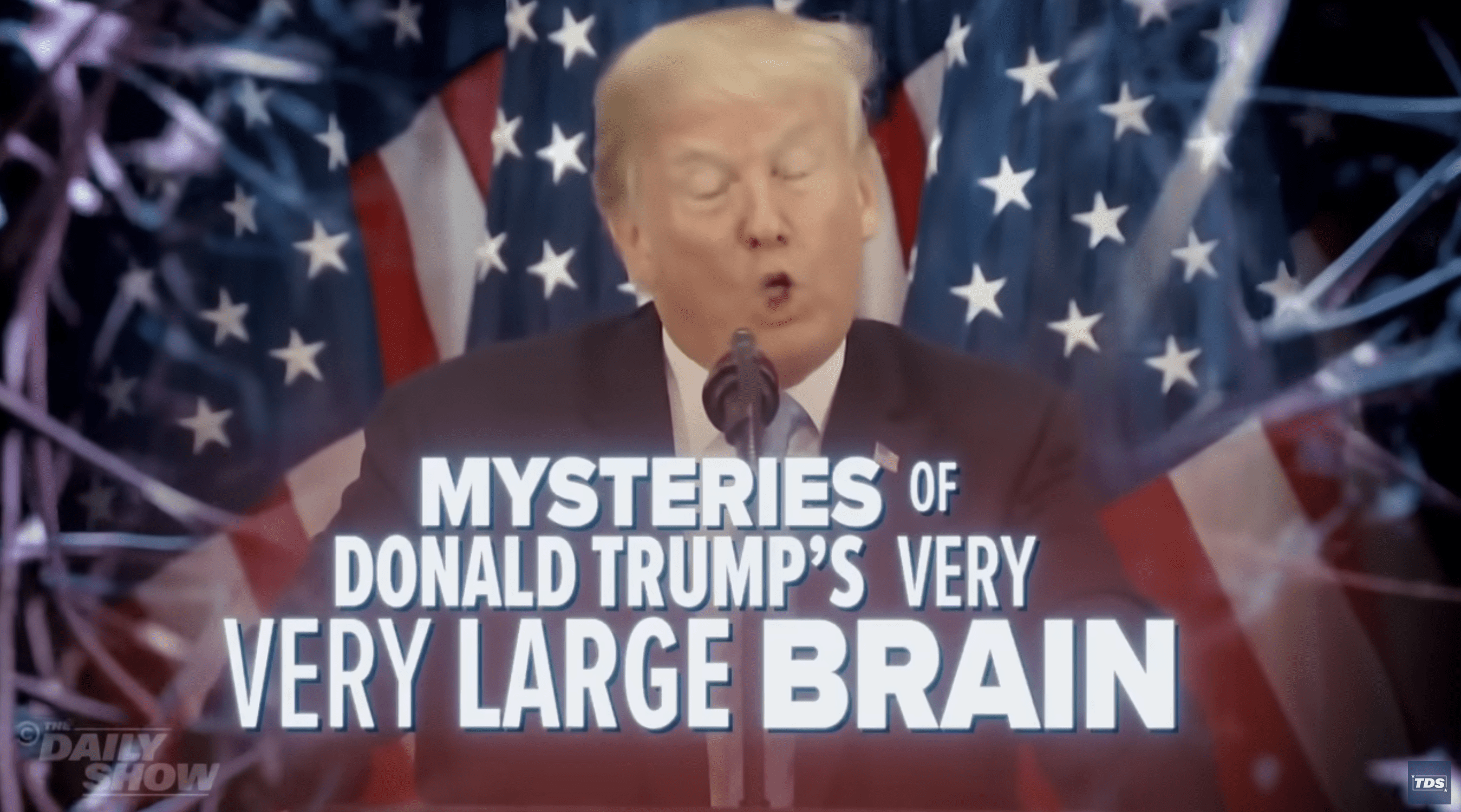 Donald Trump and his big brain