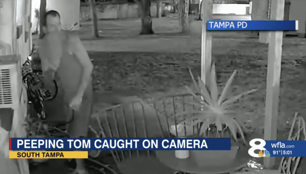 South Tampa Peeping Tom
