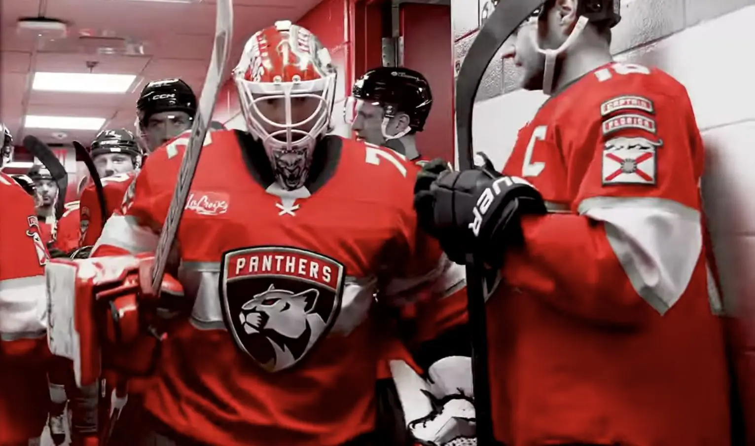 Panthers