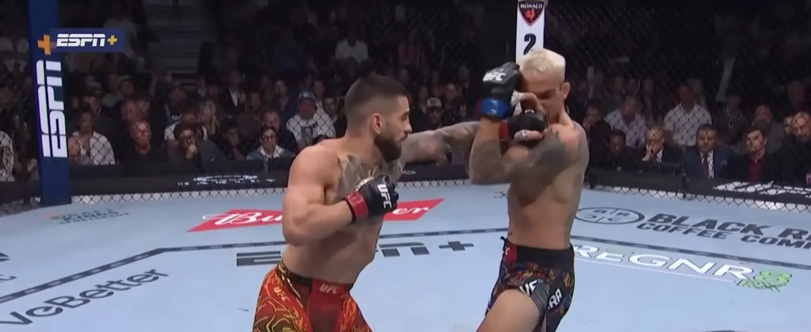 UFC