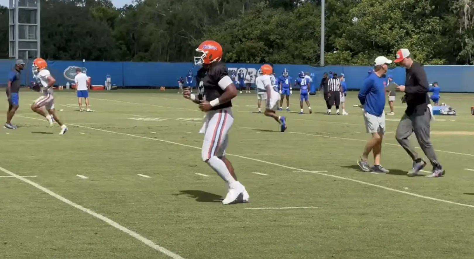 Gators Football