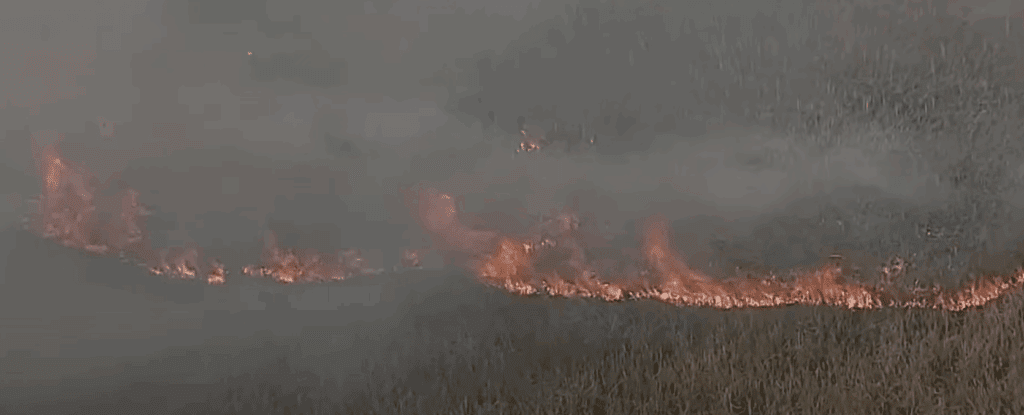 Smoke spreads across South Florida from fire in Everglades