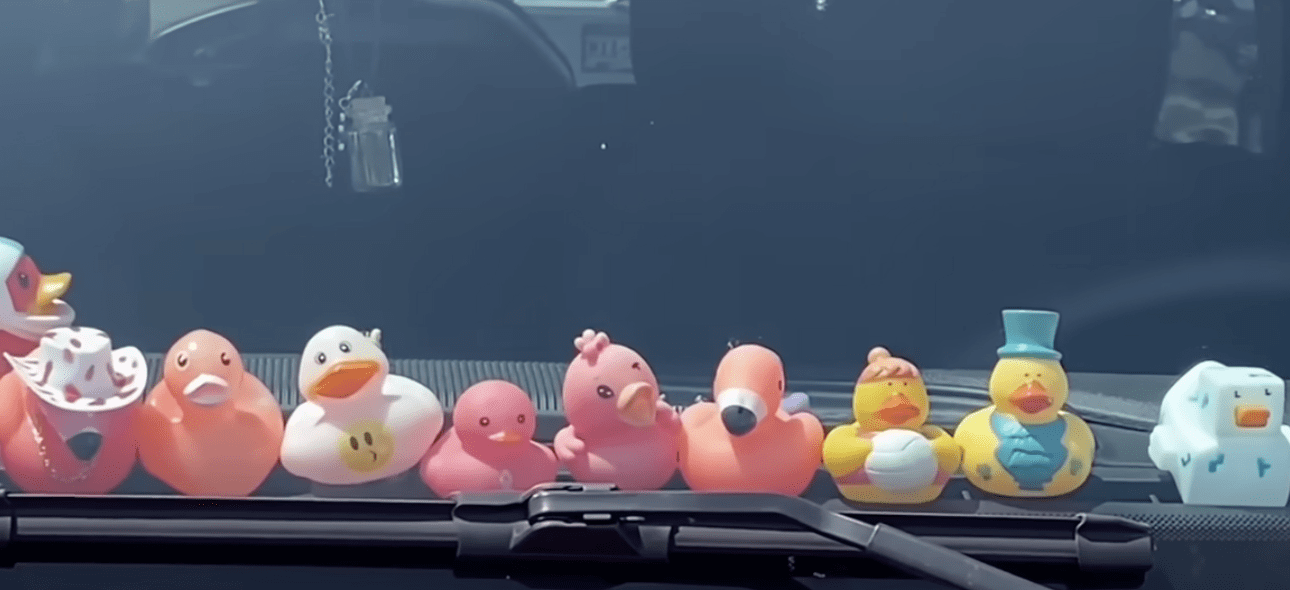 Jeep Wrangler ducks