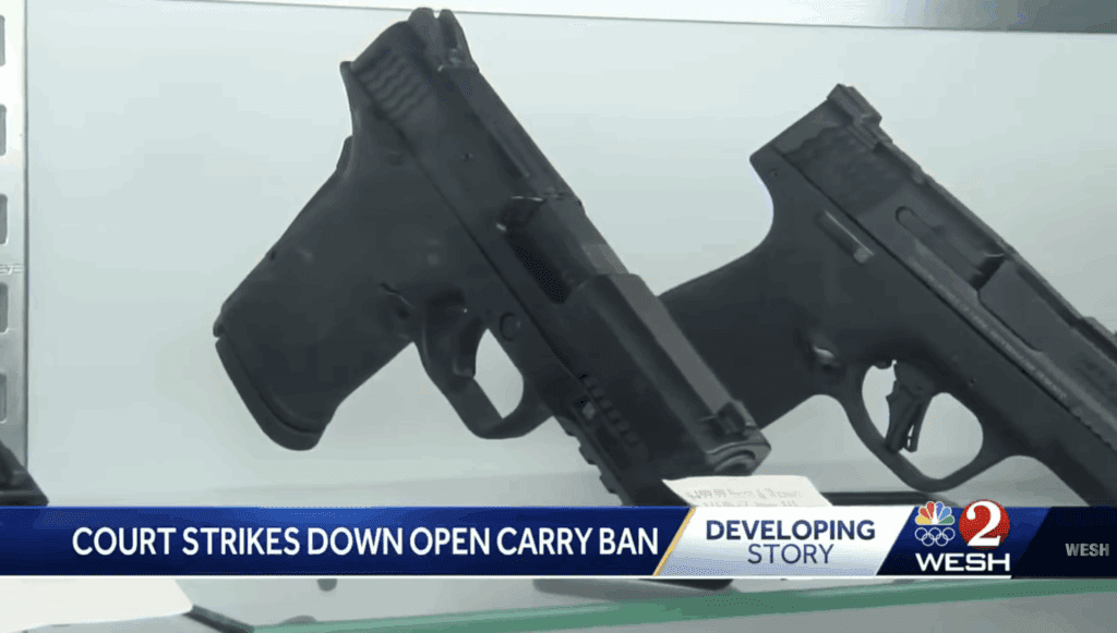 Florida Gun Laws